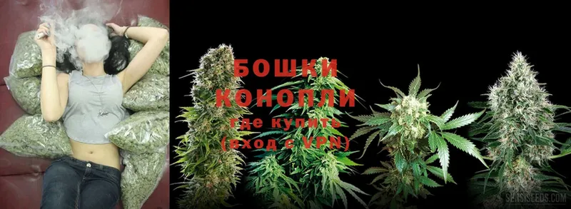 Конопля SATIVA & INDICA  Старая Купавна 